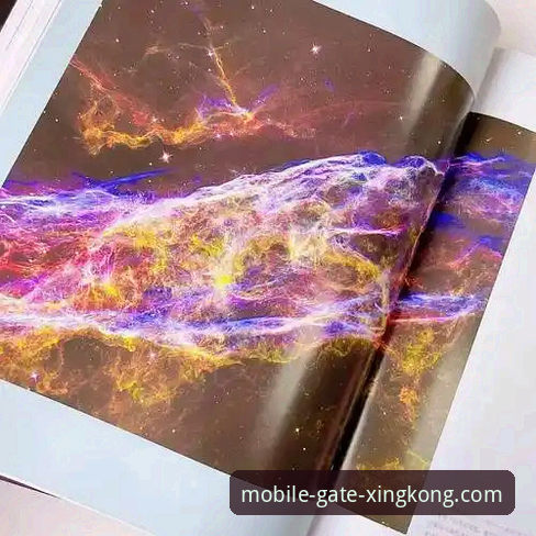 资深用户亲测：2026星空体育官网实战经验与使用心得