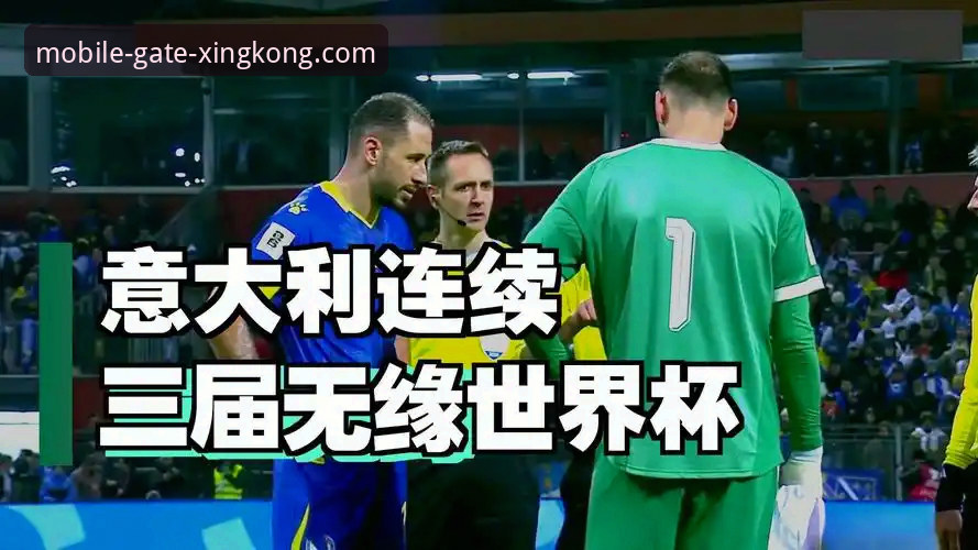 星空体育手机版下载 波黑点球淘汰意大利晋级世界杯,星空体育手机版下载观赛完整指南